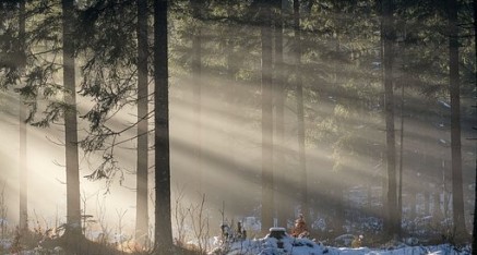 Početak prvog stupnja edukacije u Osijeku – 2026.