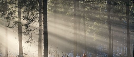 Početak prvog stupnja edukacije u Osijeku – 2026.